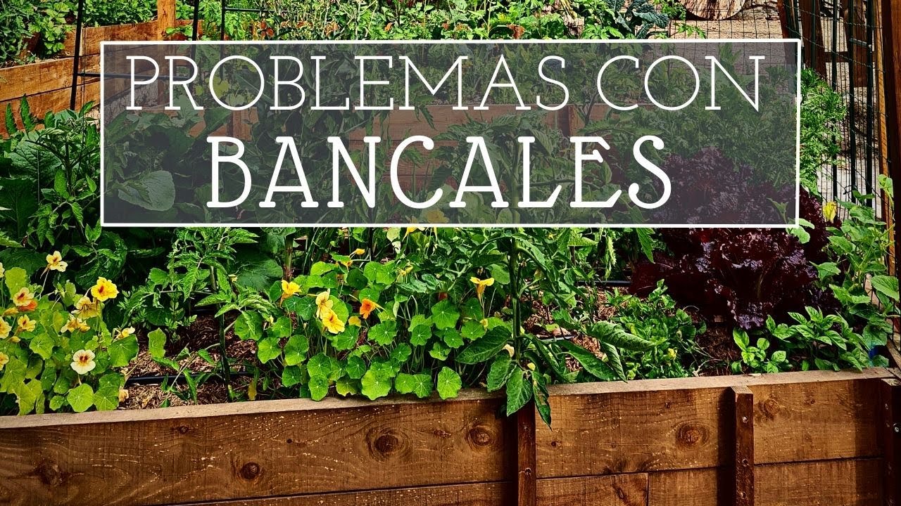 Inconvenientes de los BANCALES ELEVADOS. Lo que nunca se explica