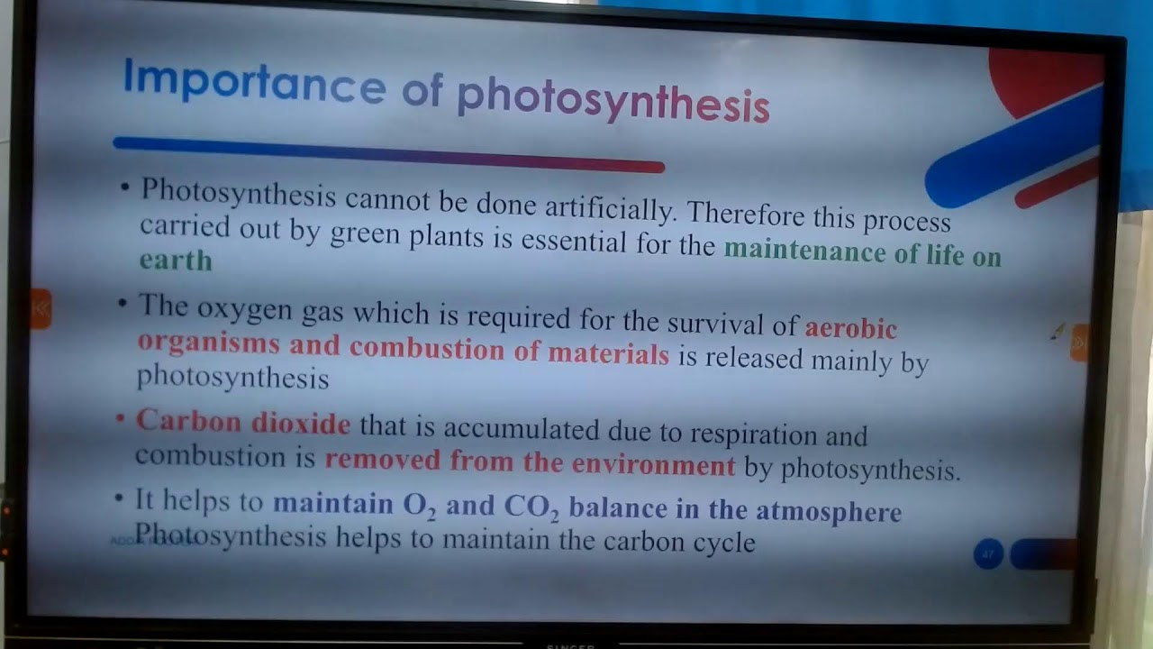 Grade 11 - Unit 02 Photosynthesis - Part 02