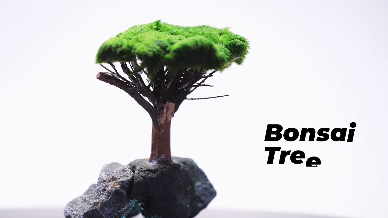 Atakanpetshop Canlı Bitki Kutu Açılımı