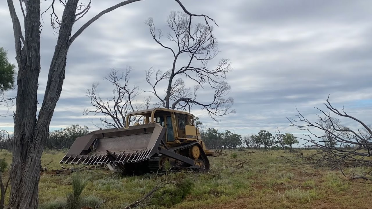 Finally making some visible progress out in the outback Ep. 27