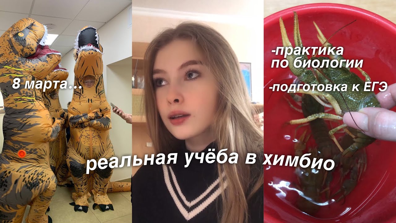 на пути к 100 баллам по химии и биологии *влог*