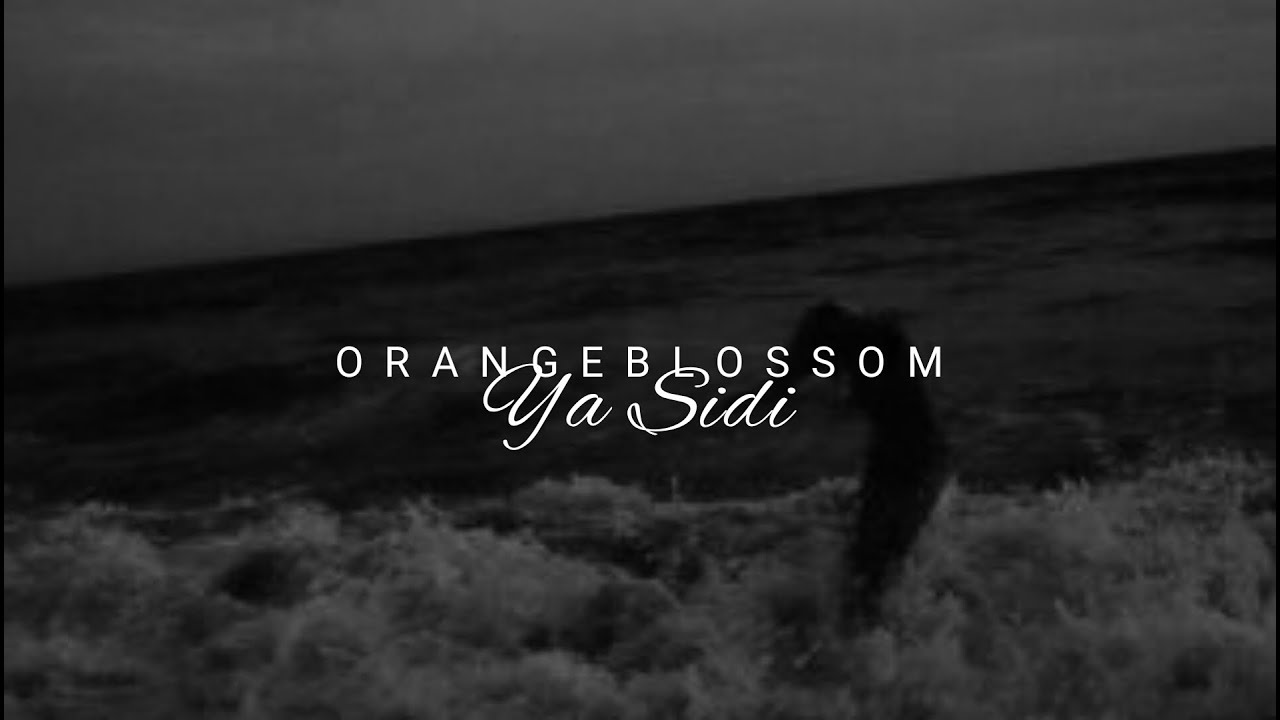 orange blossom // ya sidi [t&uuml;rk&ccedil;e &ccedil;eviri]