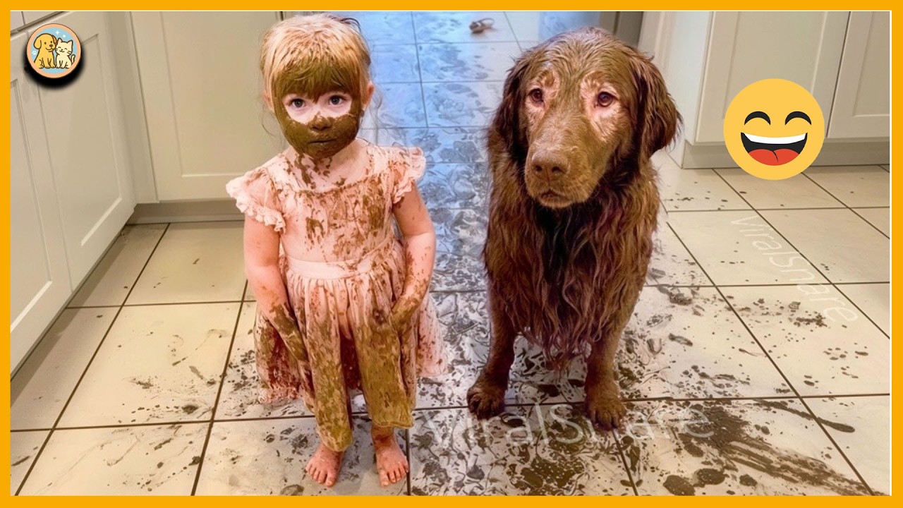 The Funniest Golden Retrievers in the World, They'll Make You Laugh Until Your Stomach Hurts 😂