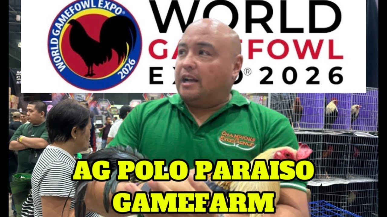 World Gamefowl Expo 2026 || Ag Polo Paraiso Gamefarm