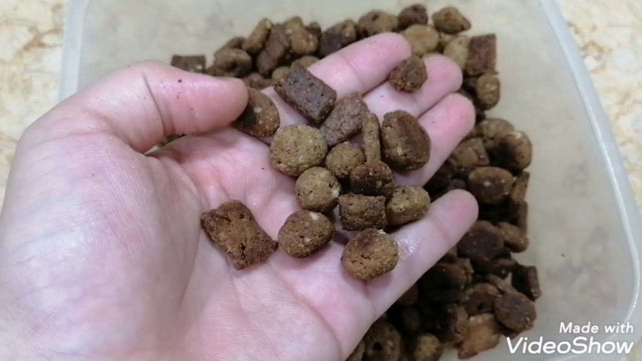 دراي فود القطط 🐈😻طريقه عمل دراي فود القطط ف البيت باسهل طريقه ♥️🐈