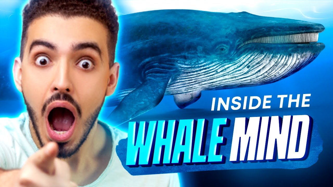 ETHEREUM MERGE | INSIDE THE MIND OF A CRYPTO WHALE!! | THE DEFI WHALE #2