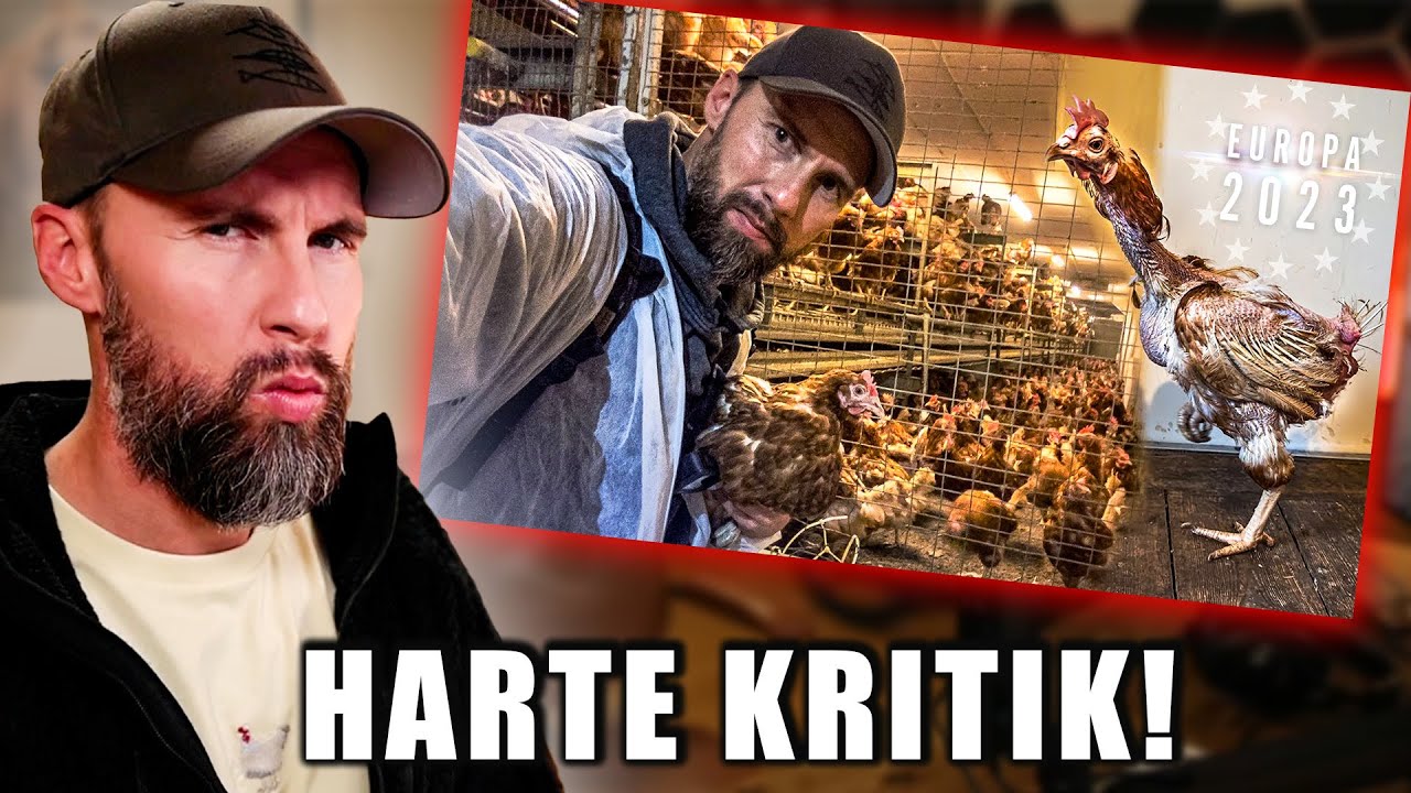 HEFTIGE KRITIK VON VEGANERN?! Deshalb ist mein Film schlecht... | Robert Marc Lehmann