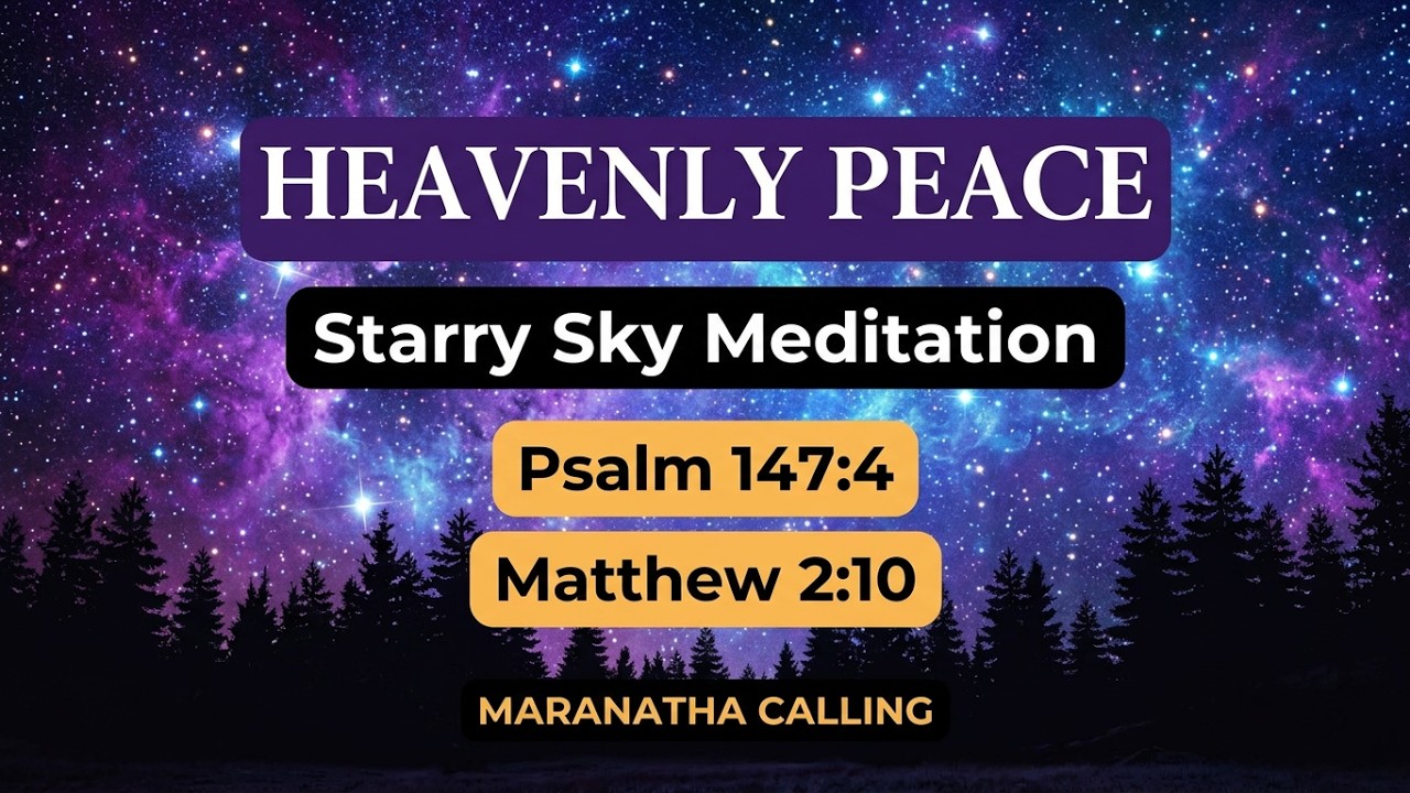 Starry Night Sky | Scripture Meditation with Cathedral Organ | Worship Music Album