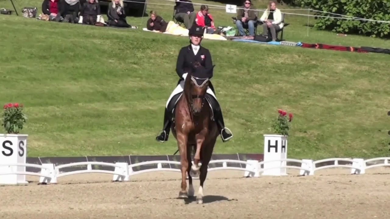 REPRISE DE DRESSAGE | Reprise Jeunes : Commentées par Isabelle Judet – Juge 5* Internationale
