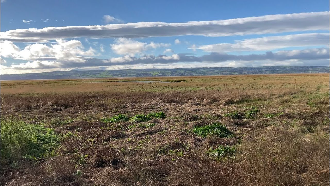 The Parkgate High Tide, Wirral Cheshire. A Bird Watching Spectacle March 2020