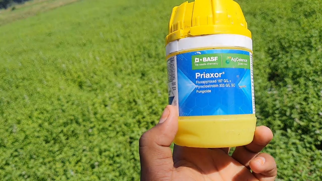 Priaxor fungicide Priaxor+Fluxapyroxad 167 G/L+Pyraclostrobin 333 G/L SC
