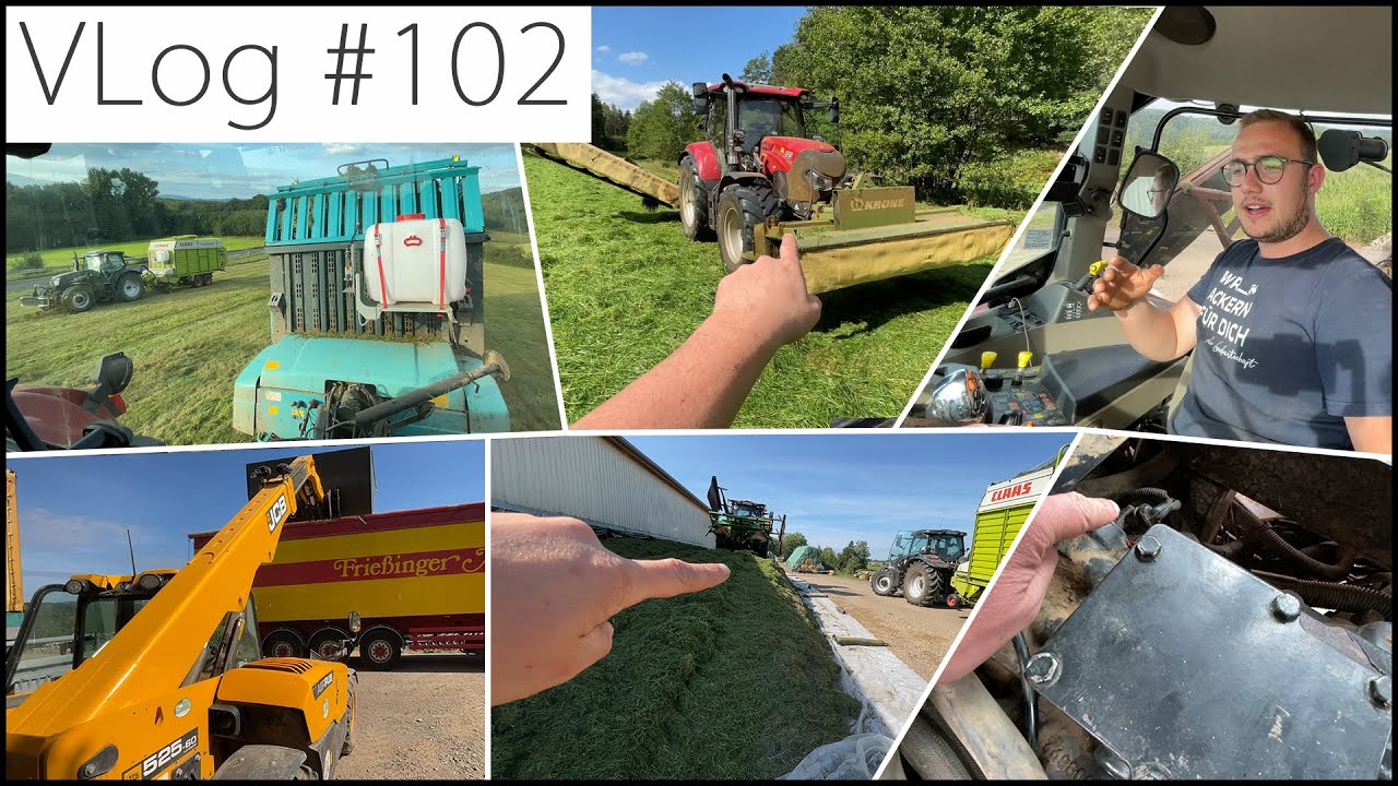 FarmVLOG#102: 3. Schnitt bei bestem Wetter! Dinkel verladen & Warum spinnt der New Holland?
