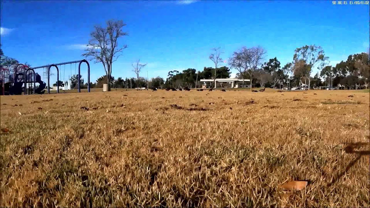 RC Logger Eye One Xtreme quadcopter test