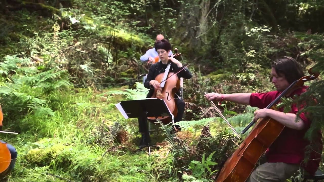 Portland Cello Project - The Doe Bay Sessions (2012)