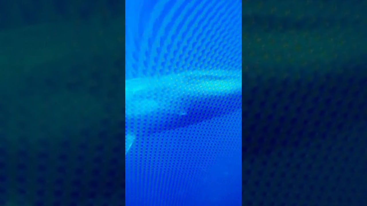 The Blue Whale Challenge