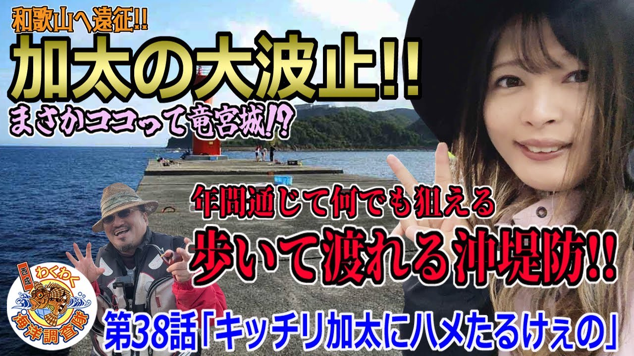 【和歌山加太の大波止】まるで沖堤防!!大物から数釣りまで!!年間通していつでも釣れる竜宮城!?第38話「キッチリ加太にハメたるけぇの」
