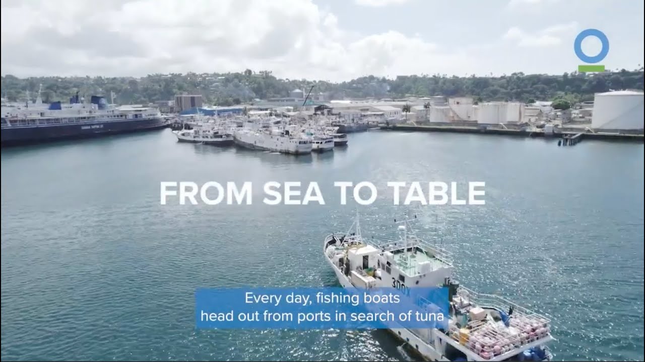 Unveiling the Fiji Domestic Tuna Industry: Economy, Community, and Sustainability