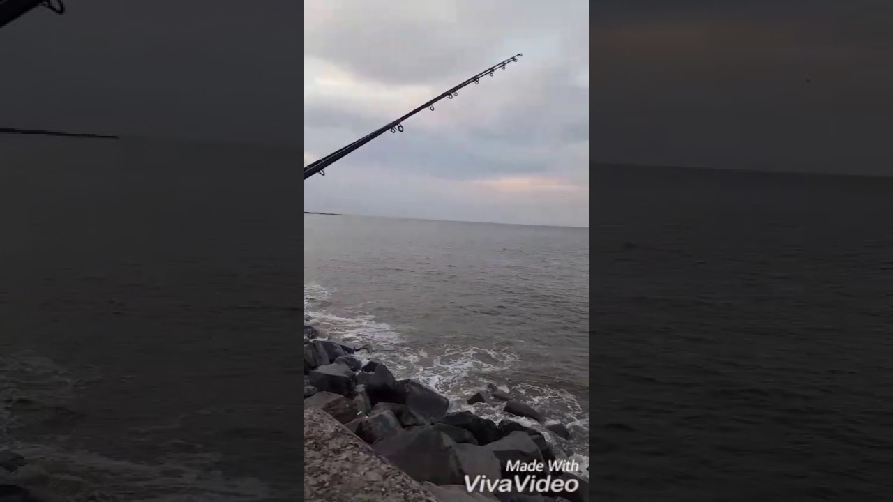 Sea Fishing - Hendon Promanade