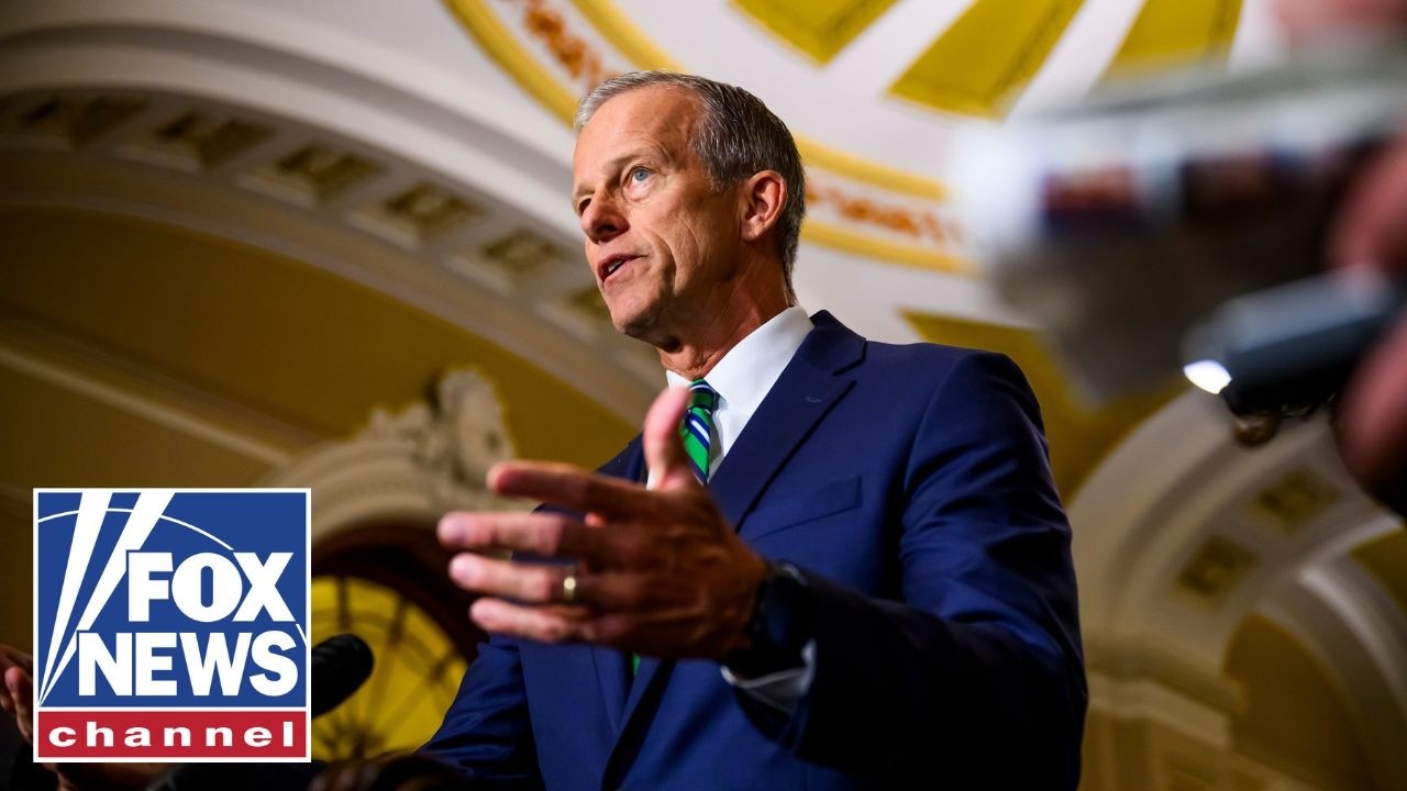 «Это замечательно для демократии», — говорит стратег Демократической партии.