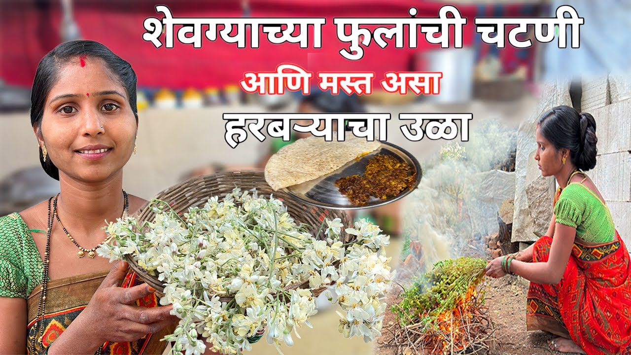 पौष्टीक अशी शेवग्याच्या फुलांची चटणी आणि हरबऱ्याचा उळा | Shevgyachya Fulanchi Chatani | 