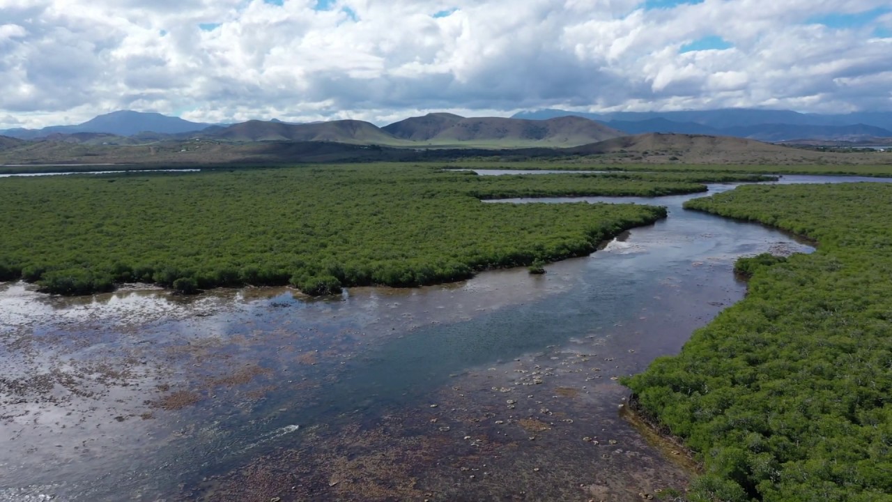 Drone on the Bourak&eacute; system