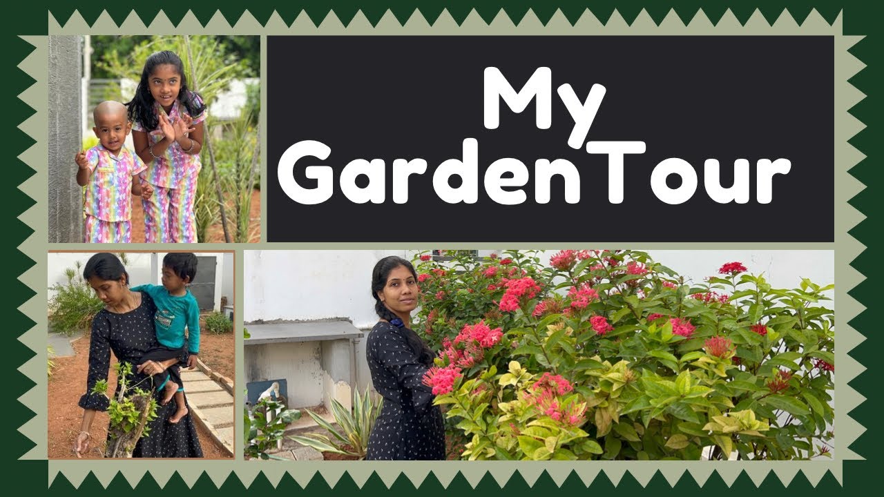 My Garden Cleaning tour 🧹😊Garden Tour in Tamil// what’s in My Garden 🪴  🪴