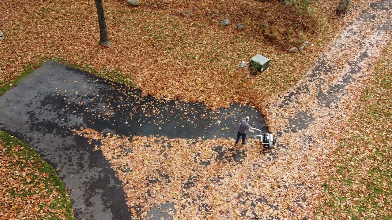 Little Wonder Leaf Blower (in action!)