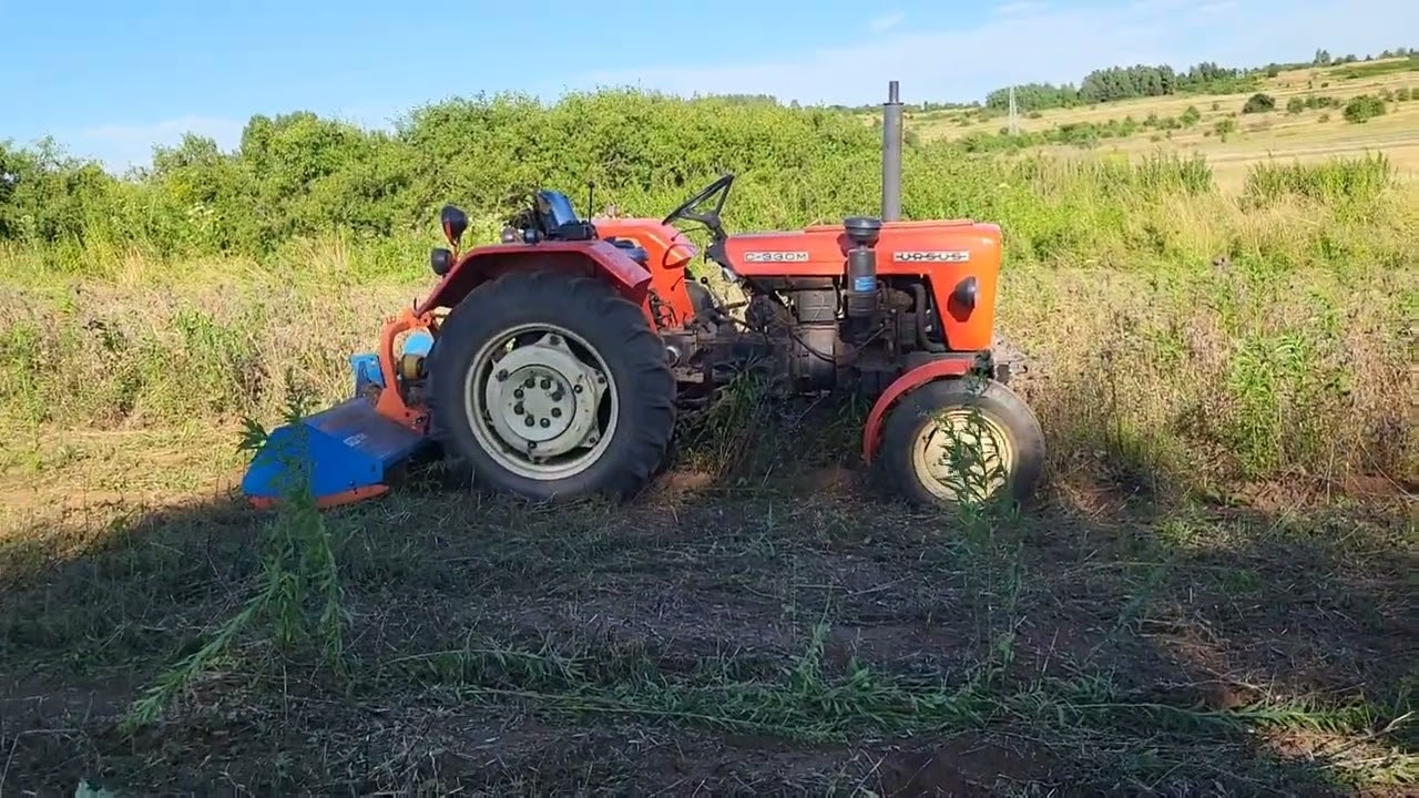 Ursus C330M I kosiarka bijakowa Stark 155 koszenie facelii #farming #nature #agriculture