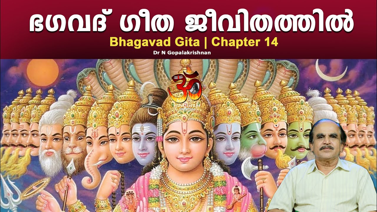 PART - 46 | Bhagavad Gita in daily life | ഭഗവദ് ഗീത ജീവിതത്തിൽ | DrN Gopalakrishnan |Hinduism മലയാളം