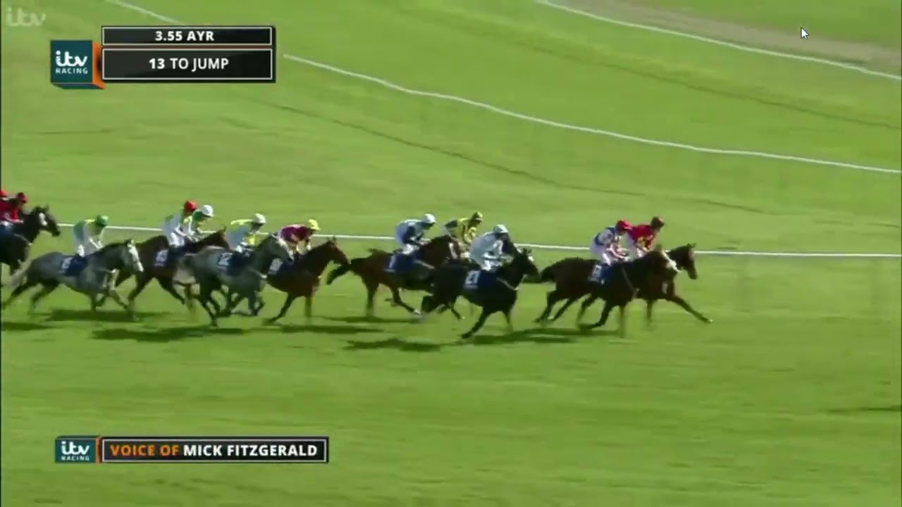 2017 Coral Scottish Grand National Chase