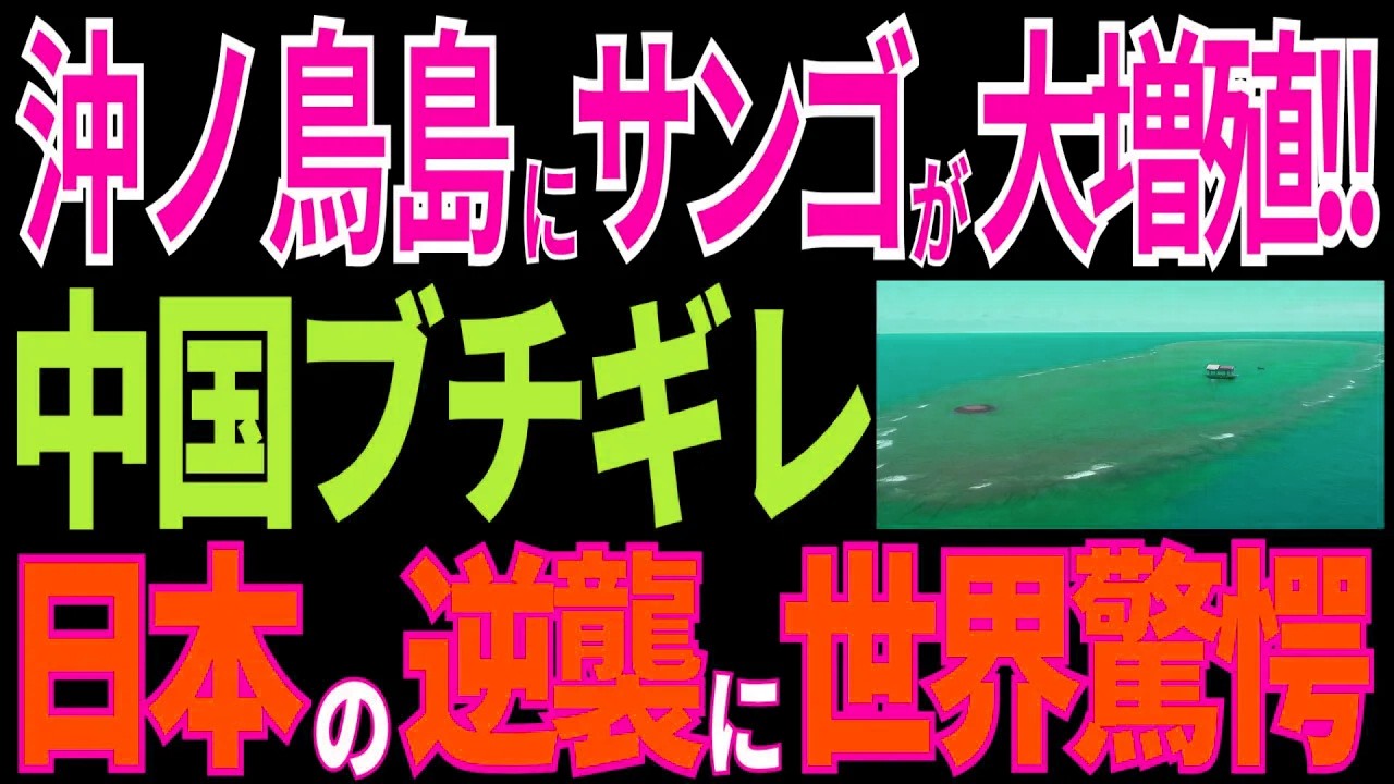 沖ノ鳥島でサンゴが大量増殖！？日本の大逆襲に中国激怒！【海外の反応】