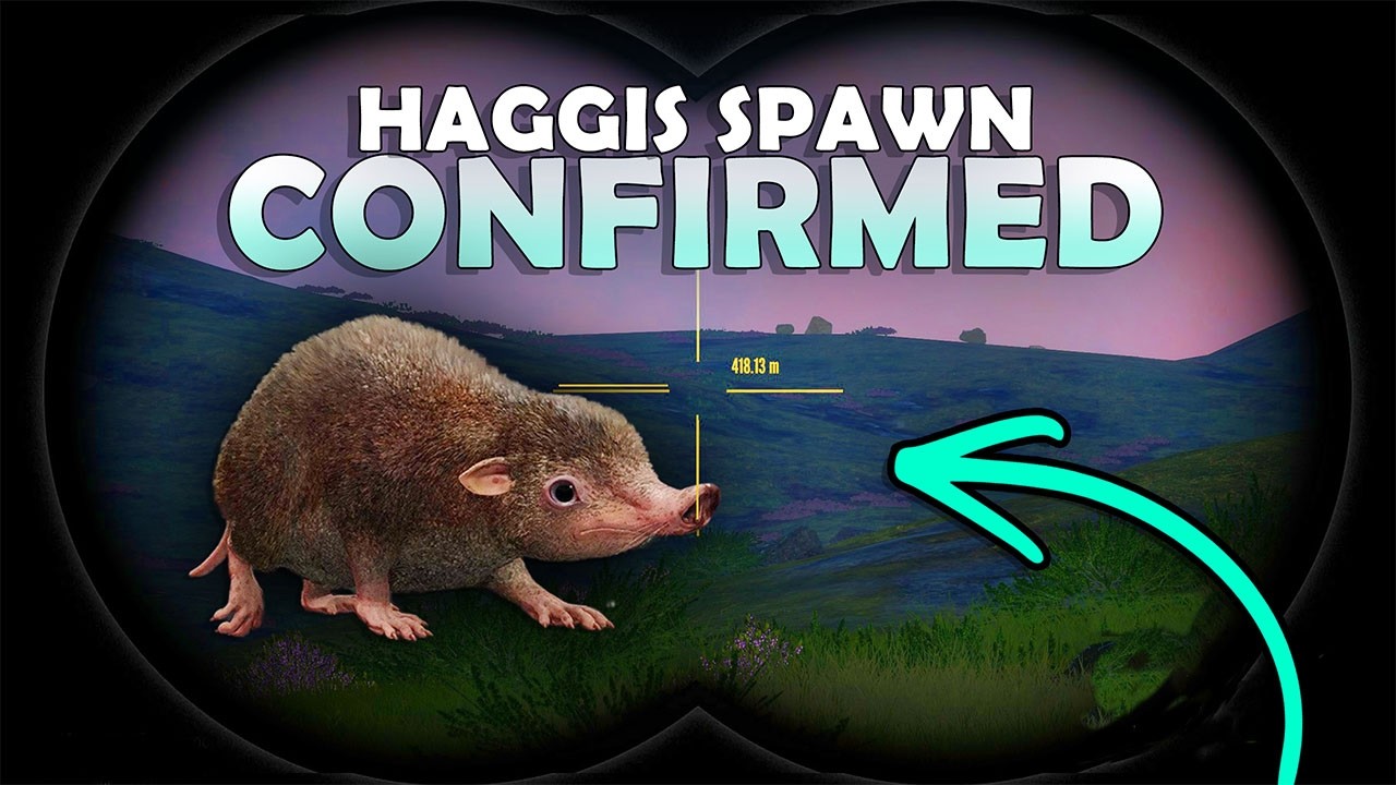 How the Wild Haggis ACTUALLY Spawns in COTW (Confirmed)