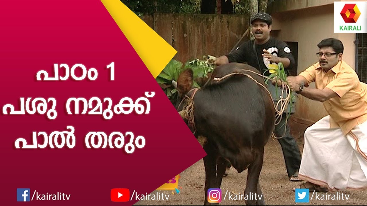 പിന്നെ ചെയ്യാൻ പറ്റുന്ന പരിഹാരം ഇത് മാത്രം | Karyam Nissaram | Malayalam Comedy Serial | Kairali TV