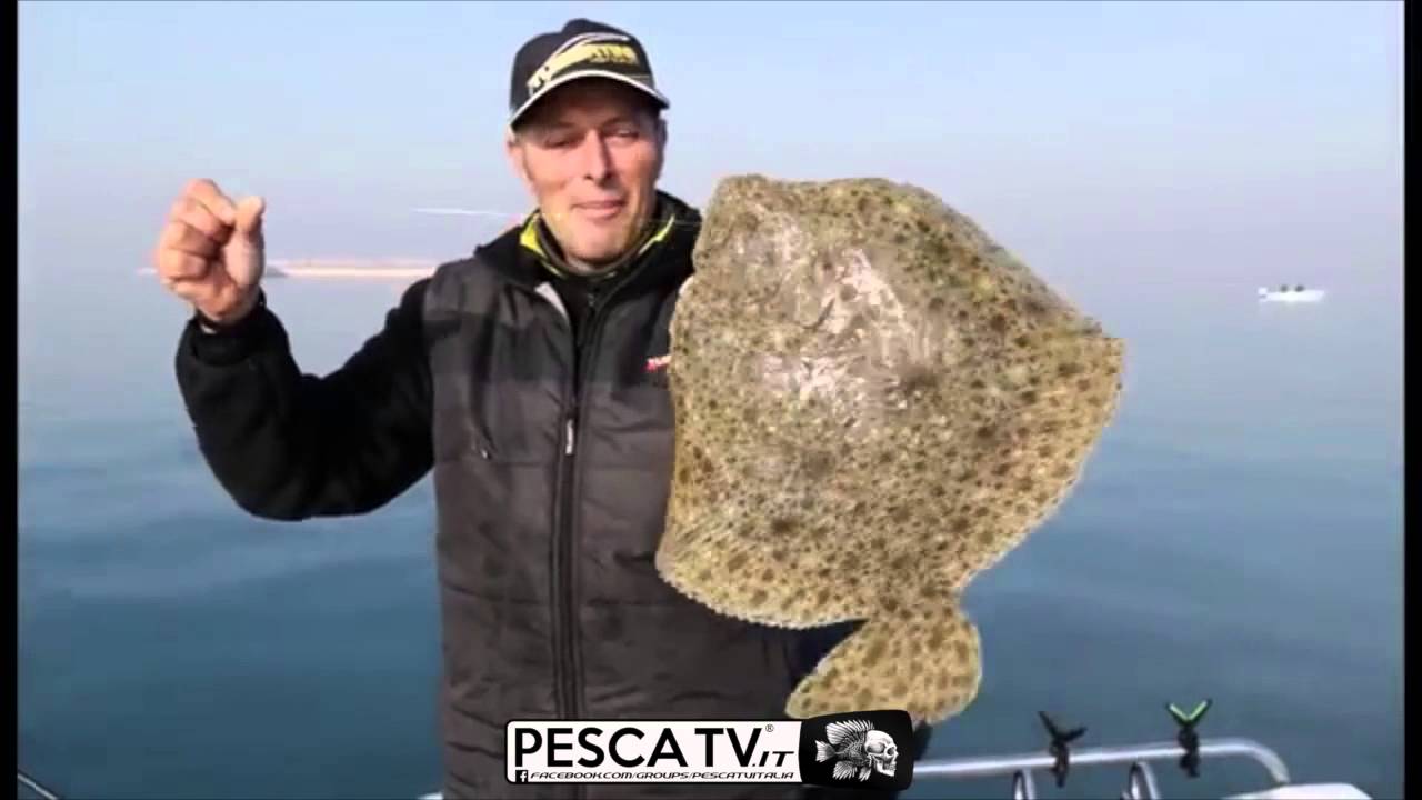 PESCA del ROMBO con Marco Volpi (completo)