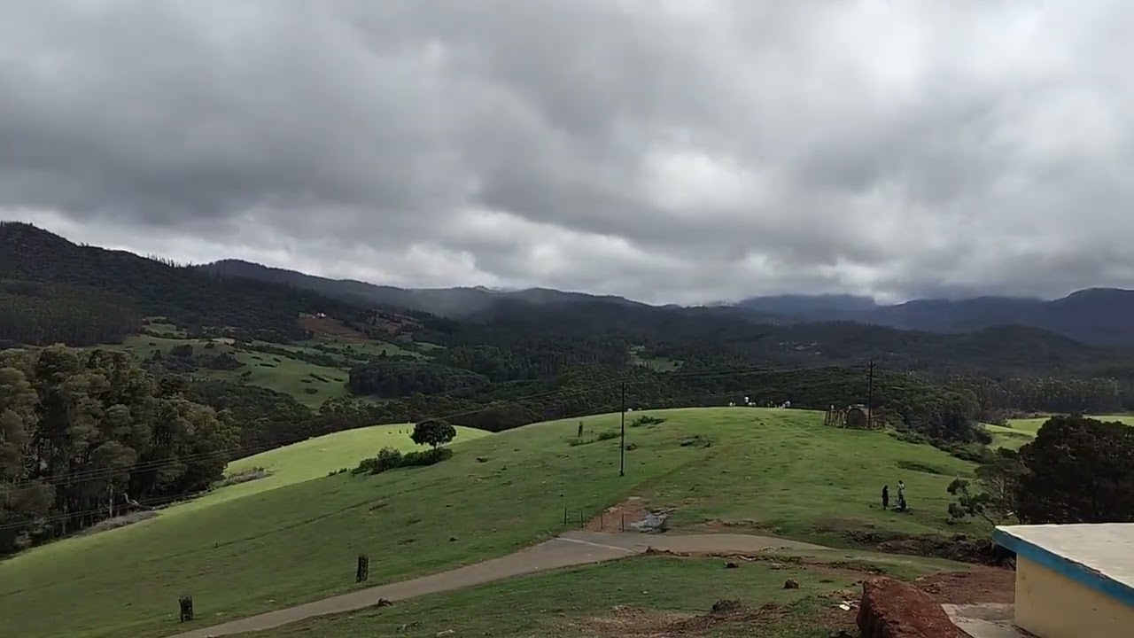 Shooting Point | Pine forest | Shooting Spot | Ooty | The Nilgiris | Tamilnadu