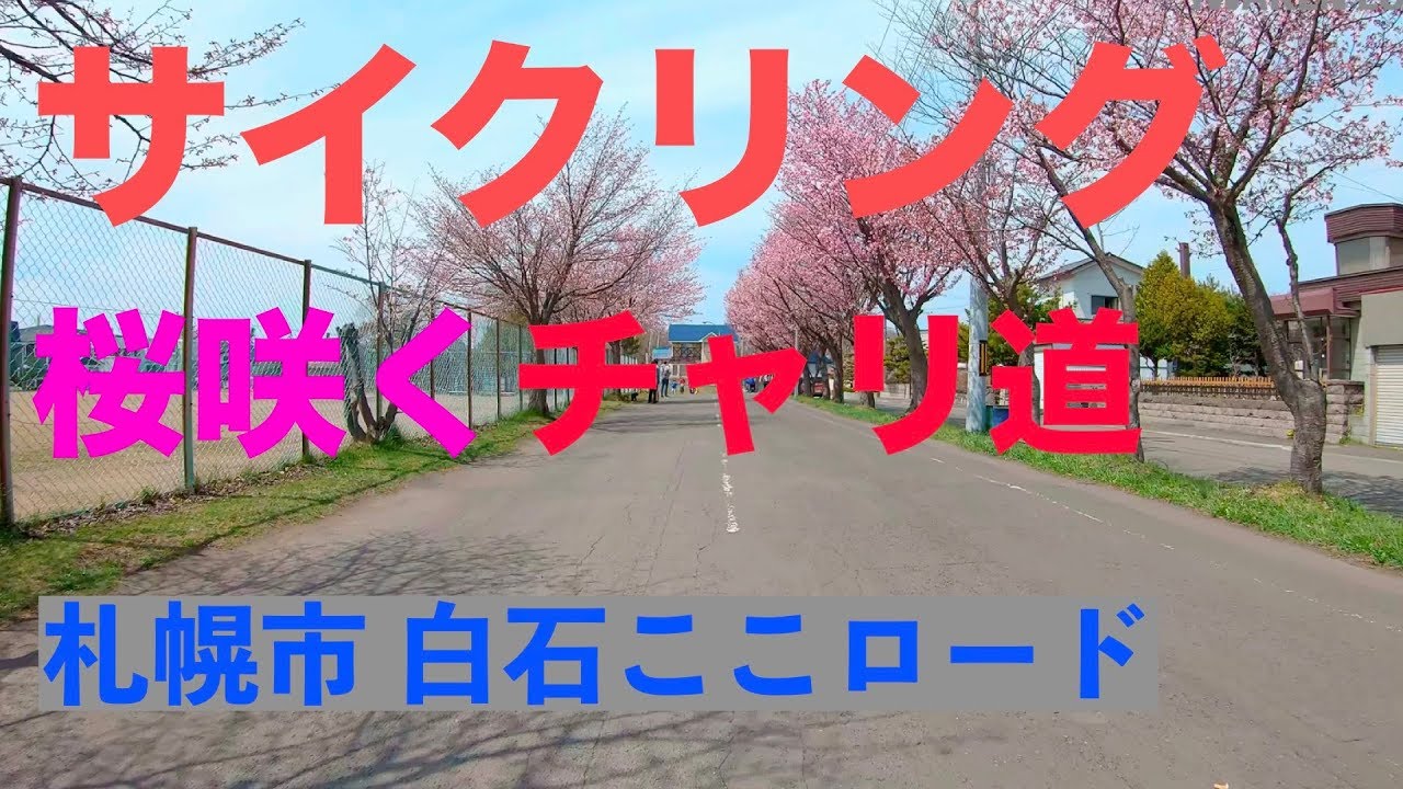 桜のサイクリングロード -白石ここロード-