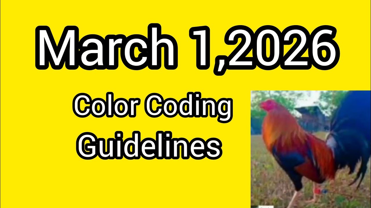 March 1,2026 Color Coding Guidelines 