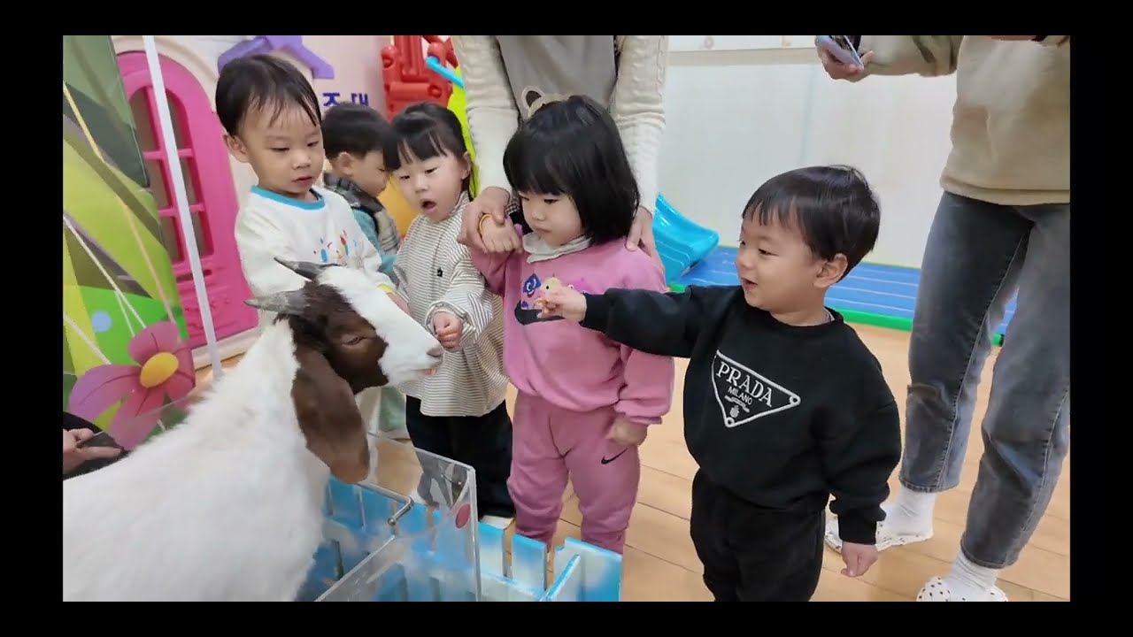 쥬니멀 동물원 - 달님,별님,샛별,우주,해님,미소,고운,새싹,천사반
