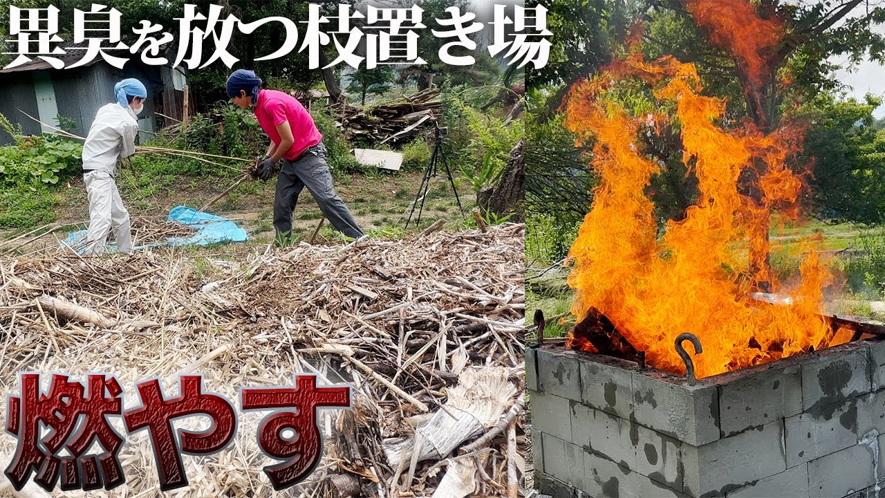 【快感】肥やしになった枝の山をひたすら燃やす!!虫がうじゃうじゃ…【102日目】
