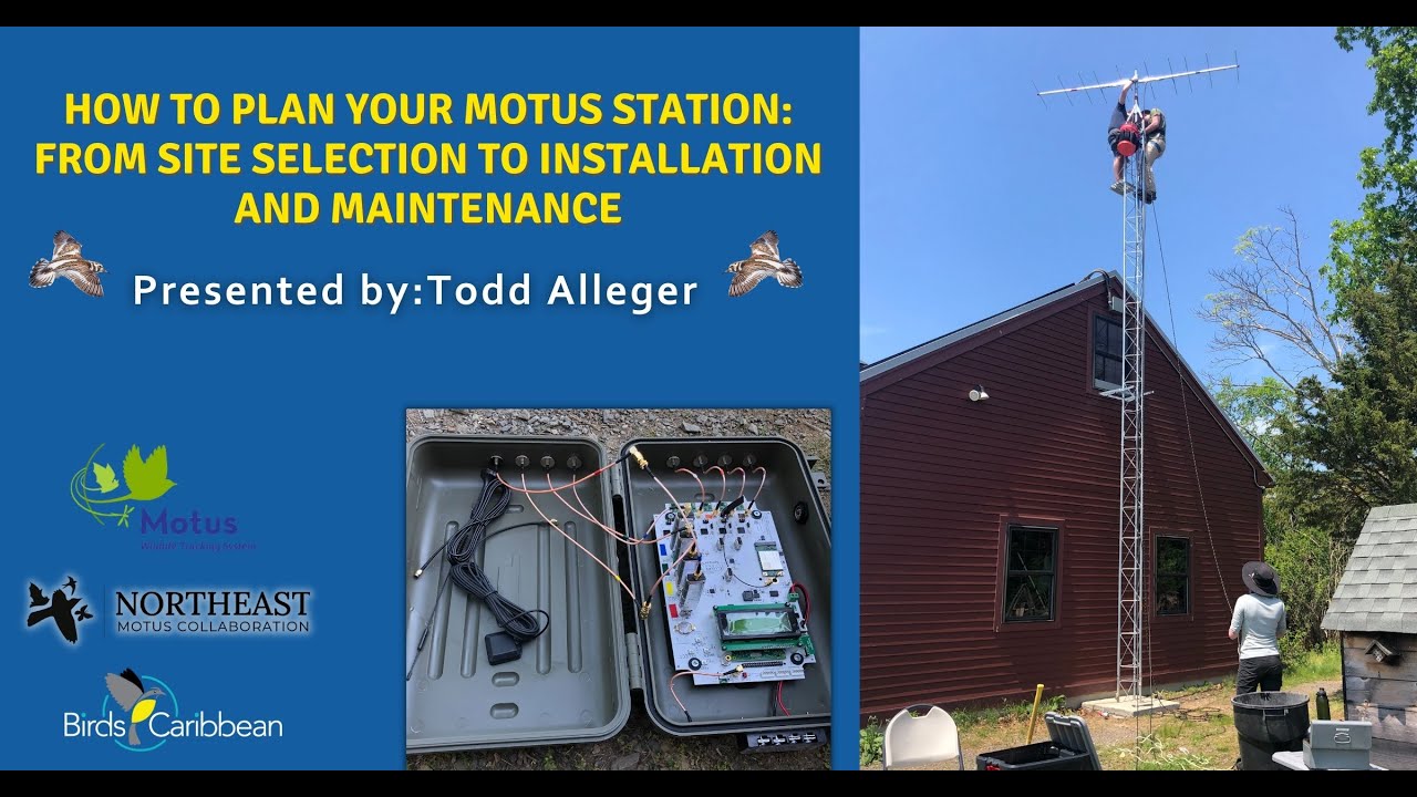 How to Plan Your Motus Station: From Site Selection to Installation and Maintenance