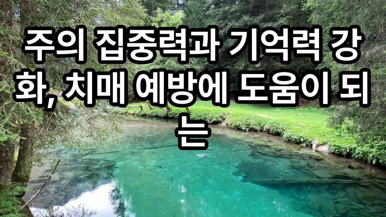 90초마다 환호하는 다른그림 찾기 1 #허풍선 #korean #노인 #주간보호센터 #a day care center for the elderly #경로당