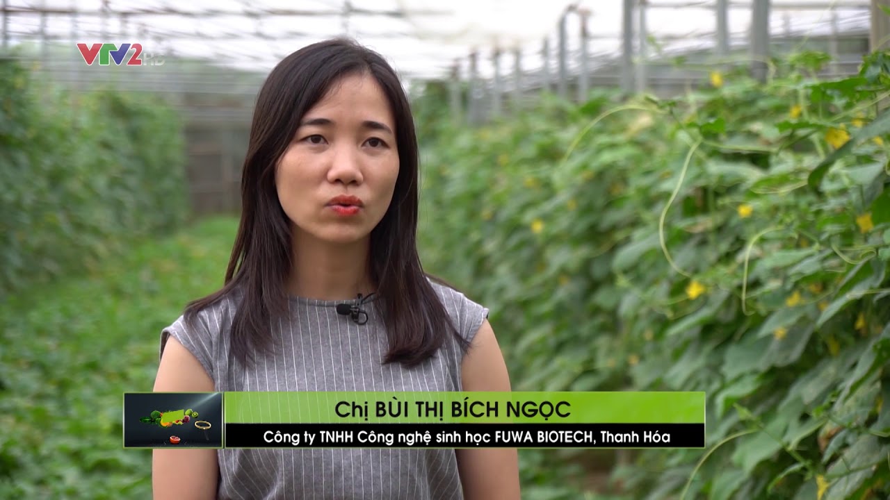 #FUWA3E #VTV2 #VTC #TTV Sản Phẩm lên men từ vỏ dứa, vì sức khỏe cộng đồng và môi trường xanh.