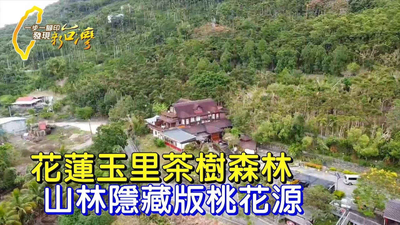 澳洲建材商為愛女舉家回台 種下千棵有機茶樹復育生態∣一步一腳印【茶樹森林的生命功課】20231015