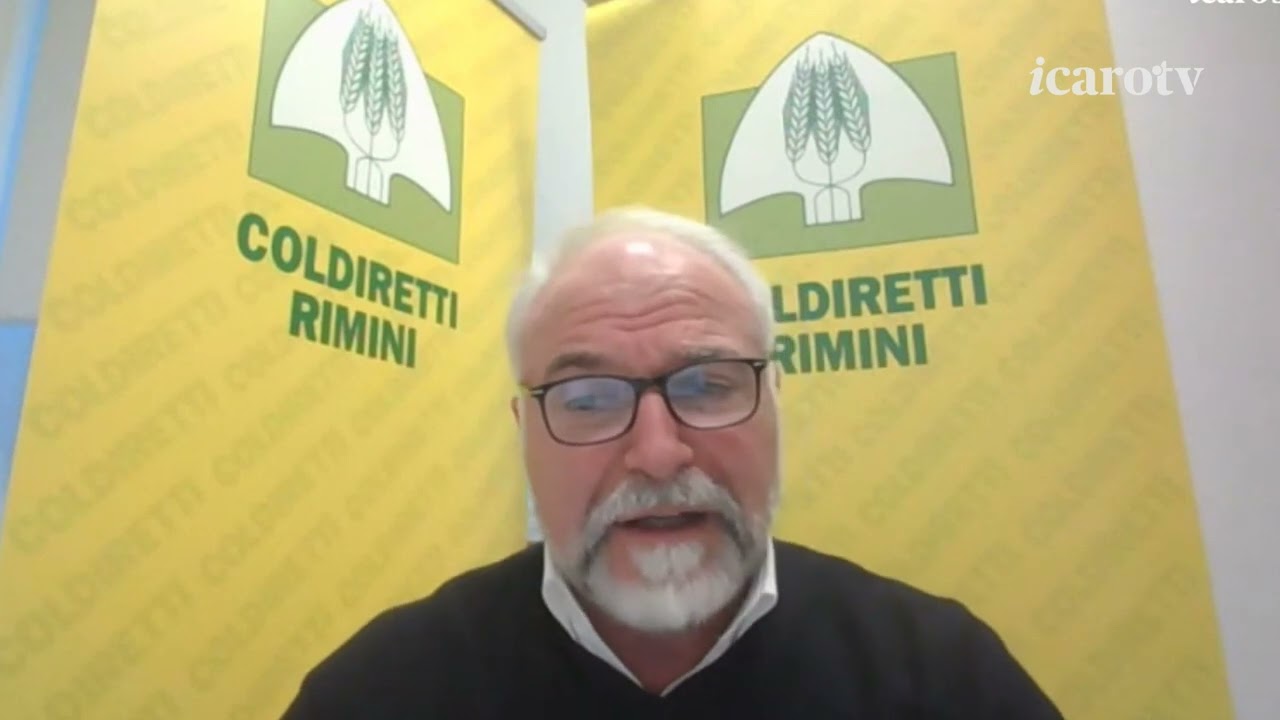 Farine di insetti: le critiche di Coldiretti