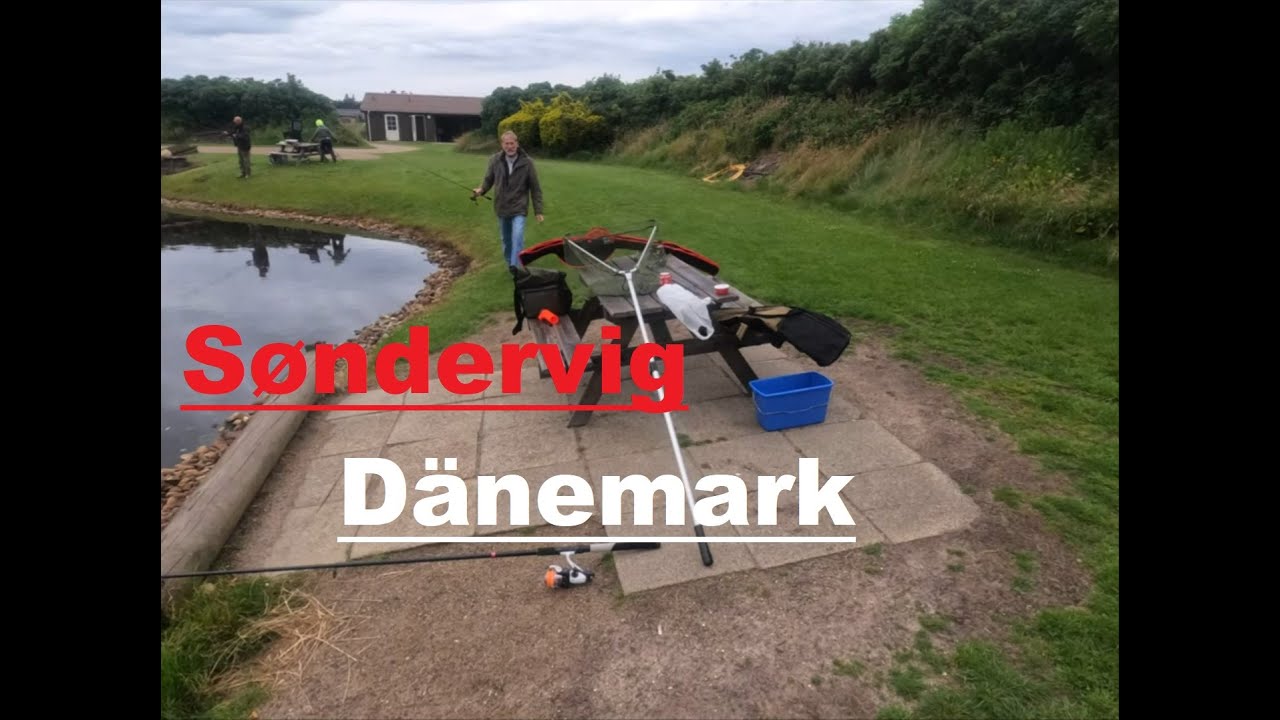 Angeln am Forellenteich Put & Take: 2 Funkamateure beim Angeln (Lachsforellen)! :)