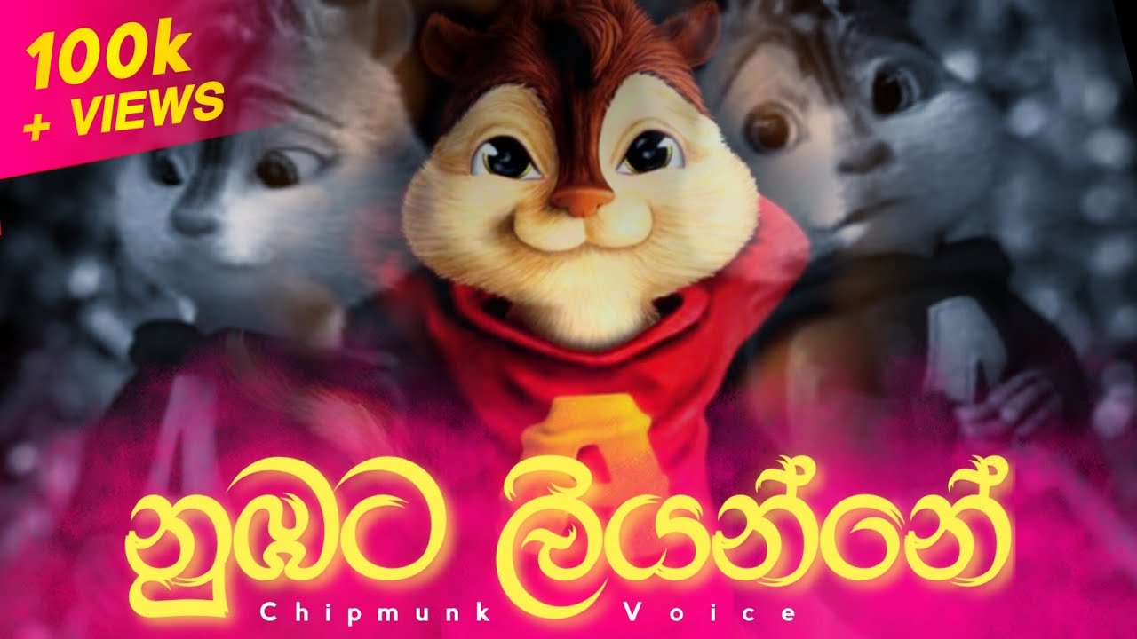 Nubata Liyanne (නුඹට ලියන්නේ) | Chipmunk Version | Lyrics Video | Visha Recodz