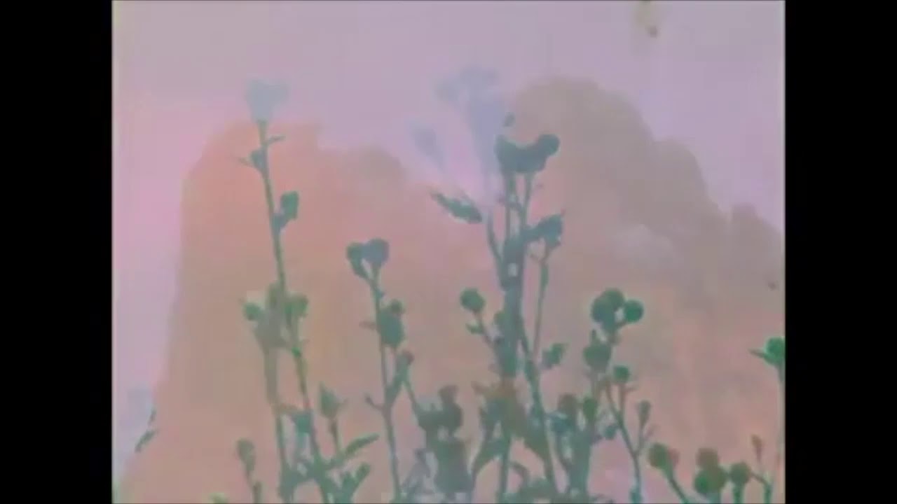JAY WHEELER / LA CURIOSIDAD \ slowed & reverb