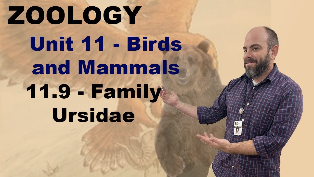 Zoology Unit 11:  11.9 - Family Ursidae