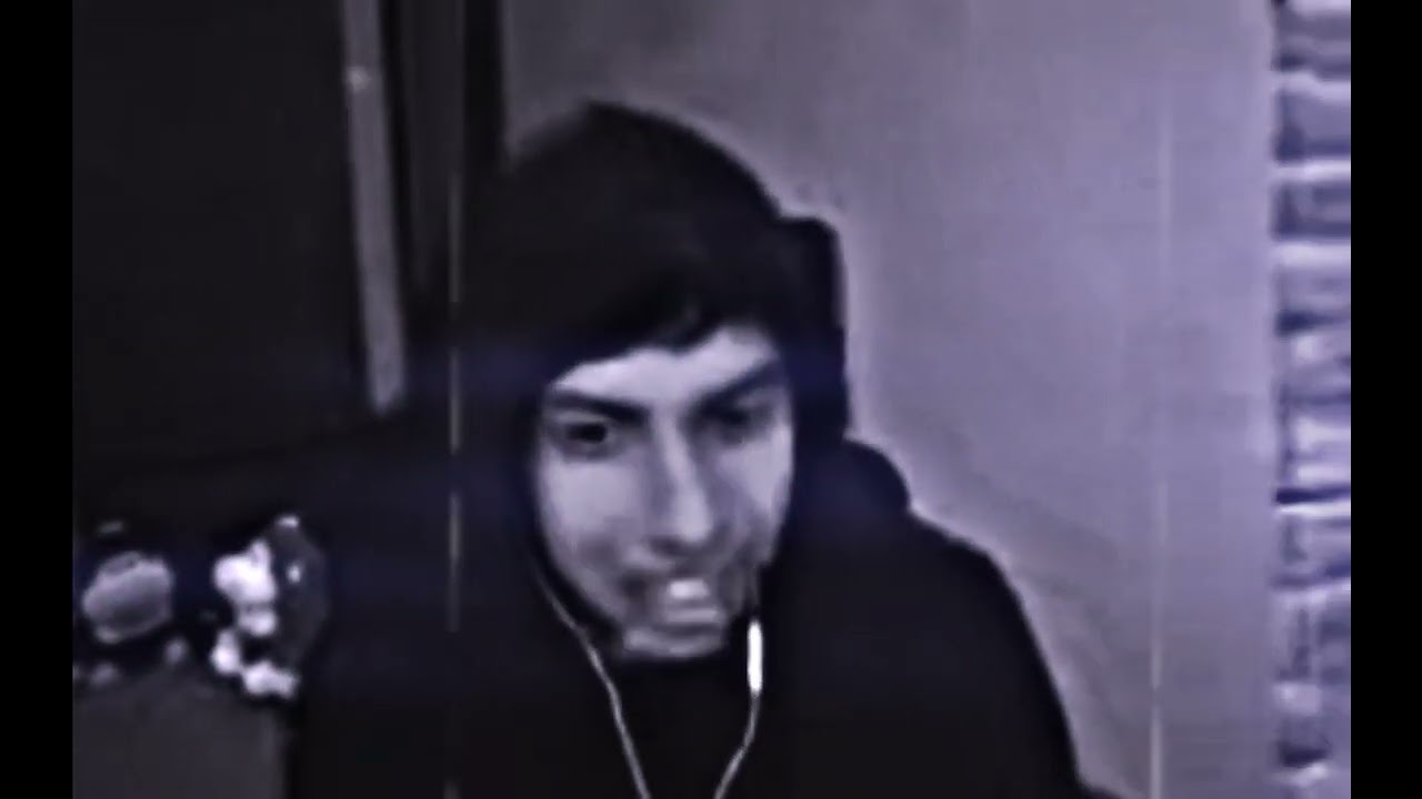 El simio mayor
