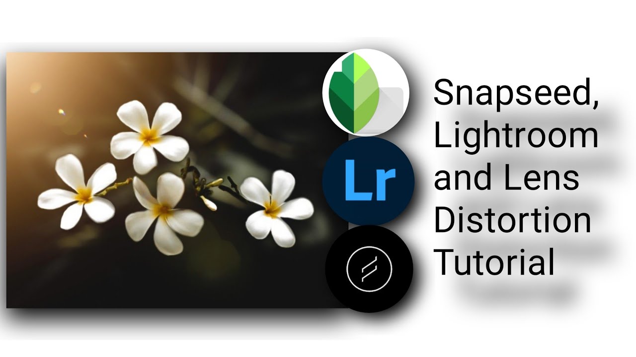 Lightroom New Dark Grey Color Effect Editing [Snapseed Photo Mobile Editing Tutorial
